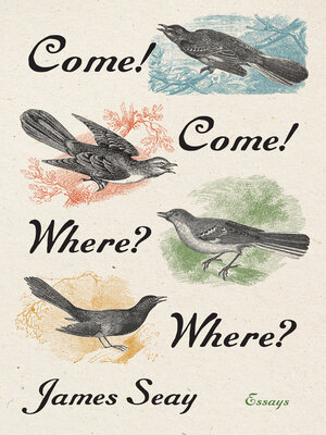 cover image of Come! Come! Where? Where?